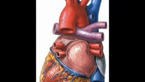 может братья среди нас 3.wmv