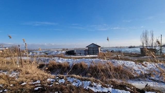 Сарыагаш Ташкент Zoom Х100 смотреть онлайн