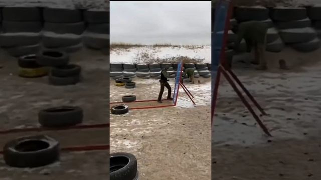 Треня 28.02.2020 ССК Невский смотреть онлайн