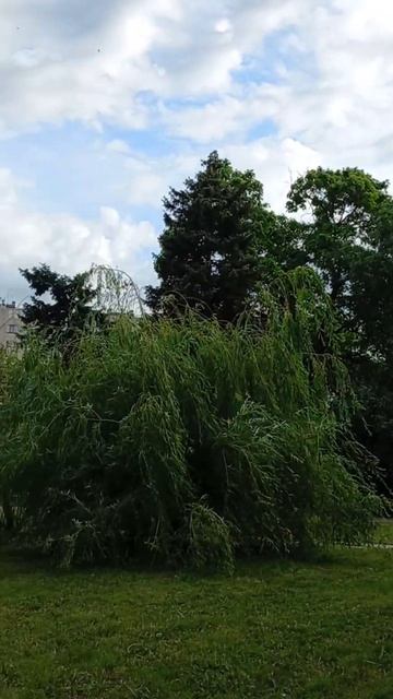 г . РОСТОВ - НА - ДОНУ , ПАРК " ПЛЕВЕН " , УЛИЧНЫЕ КАФЕ .10.06.23 г . смотреть онлайн