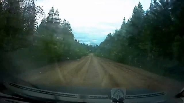 заяц смотреть онлайн