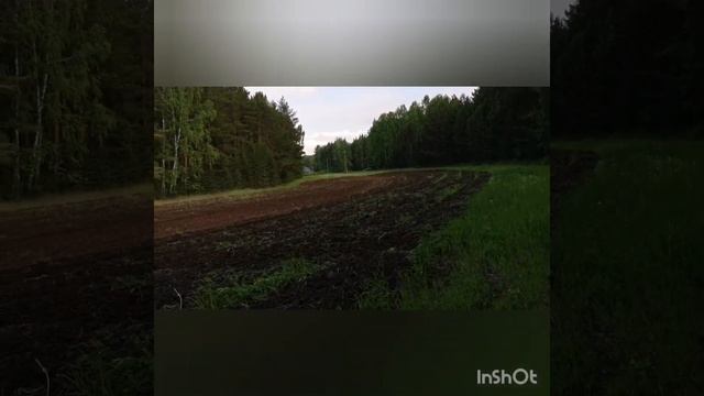 Лесные дали смотреть онлайн