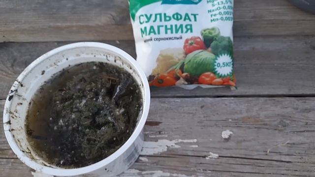 Обязательная подкормка томатов во время цветения и плодоношения для увеличения завязей и урожая смотреть онлайн