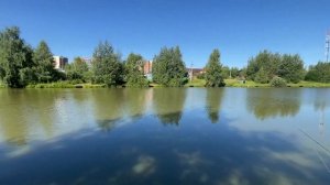 Платная рыбалка в Подмосковье. Светлые Горы.Карпы и Линёвое Гнездо