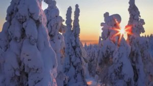 Зима зима //  исполнитель Алексей Смирнов // время V минус