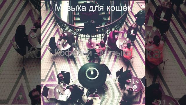 Атмосфера (Рестораны) смотреть онлайн