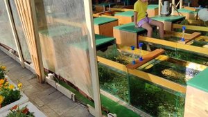 Соль Илецк курорт