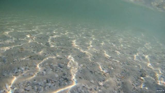 24 часа ДИКАРЁМ на острове Джарылгач (вторая часть). Яркий рассвет. Танец ската. смотреть онлайн