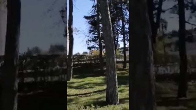 Прогулки по Пятигорску в ноябре/2022год #город #пятигорск смотреть онлайн