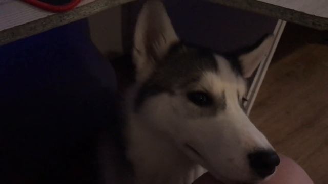 Байкал хотел сам всё рассказать смотреть онлайн