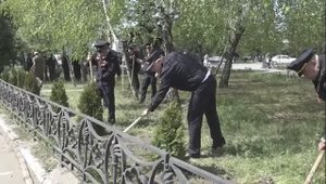 Полицейские Запорожской области третий год подряд принимают участие в акции «Сад памяти