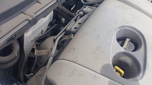 Стук мотора Мазда 2,5 SkyActive после длительного простоя