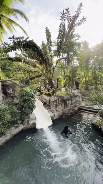 Centara Grand Mirage Beach Resort Pattaya 5* Hotel, Thailand #отель #тайланд #таиланд#thai #vacatio смотреть онлайн