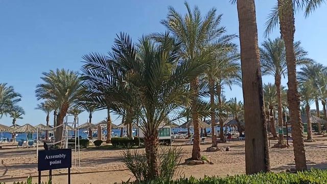 Fayrouz Resort 4*, обзор набережної!! смотреть онлайн