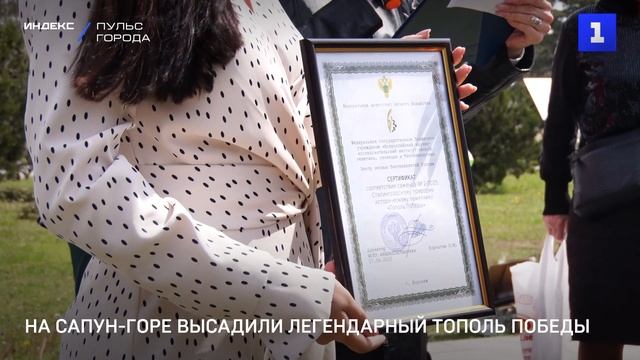 На Сапун-горе высадили легендарный Тополь Победы