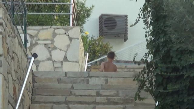 Отдыху спорт не помеха! Боксер на курорте) смотреть онлайн