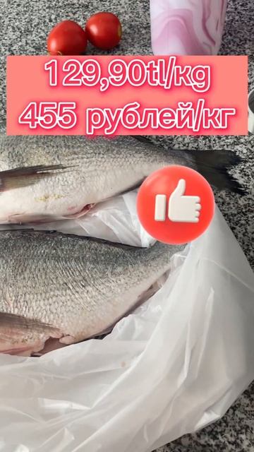 Цена на рыбу в Турции/август 2022/ магазин Tahtakale смотреть онлайн