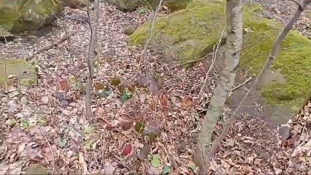 Дольмены город Туапсе. Гора "Богатырка". смотреть онлайн