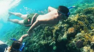 Charmillion Sea Life Resort 5* в Шарм-эль-Шейхе отмечает 20-летие!