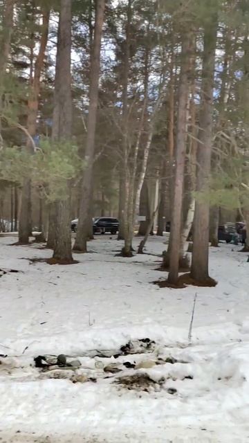 Архыз. 02.01.2024 #архыз #снеговик #отдых смотреть онлайн