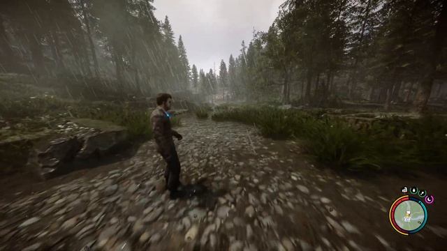 Sons Of The Forest Прохождение Walkthrough Заметки, буклеты, киноплёнки/Notes, booklets, films смотреть онлайн