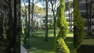 Тренди лара trendy lara(5)