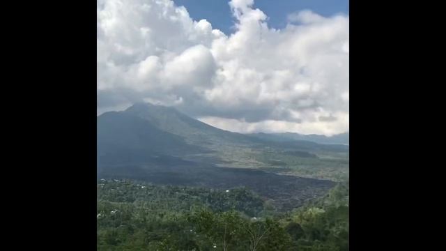 Bali vacation (Udhiana, Ubud 😻 and Intercontinental, Jimbaran 😾) // Отпуск на Бали vlog#3