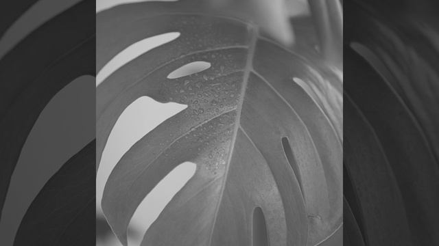 Настроения (Рестораны) смотреть онлайн