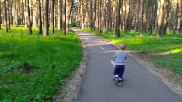 ЖИЗНЬ С ЧИСТОГО ЛИСТА  НАШИ ПОЛ  ГОДА ПОСЛЕ ТКМ  ЛЕТНИЙ ВЕЧЕР  ИЗ АРХИВА