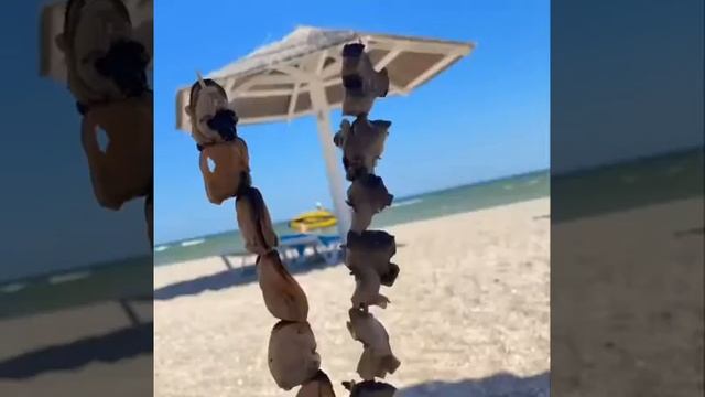 Бердянск. Отель Сардиния. Лето 2020 смотреть онлайн