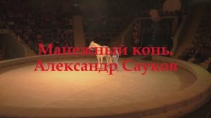 Манежный конь (Премьера клипа 2025 г.)