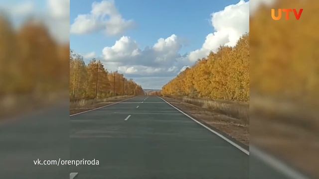 Золотая осень в Тюльганском районе смотреть онлайн