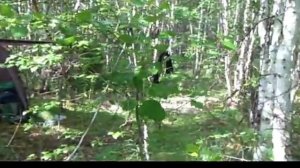 Поход по Таюре, июль-август 2010. Часть 3 - у зимовья