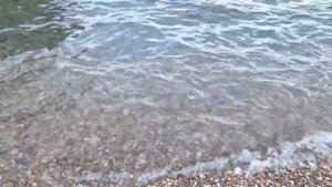 Крым 2024. Лучшие пляжи. Чайка