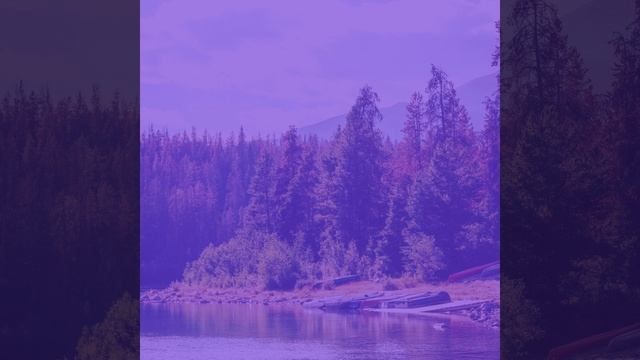 Созерцая (Рестораны) смотреть онлайн