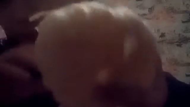 Свити пробуем экзотические фрукты смотреть онлайн