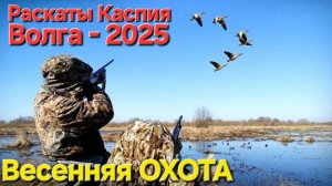 🔥ВЕСЕННЯЯ ОХОТА🔥 на Волге и раскатах Каспия!!!!