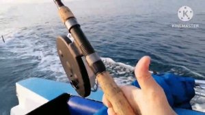 Абхазия. Цандрипш. Морская рыбалка.