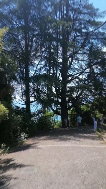 Сочи. Заброшенный санаторий Орджоникидзе. # short смотреть онлайн