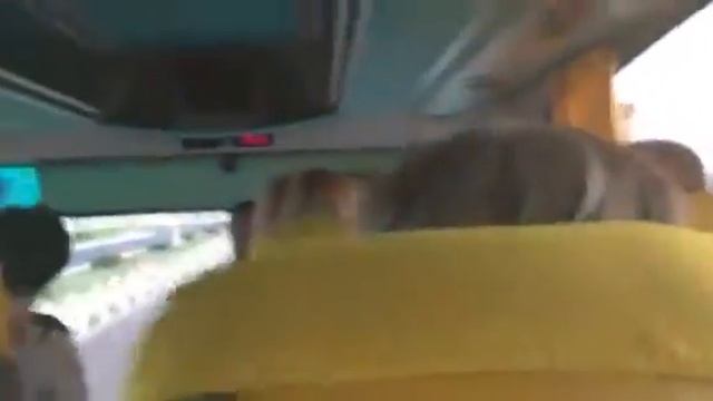 Дорога до отеля в городе Шарм-эль-шейх,Египет🇪🇬🇺🇦 смотреть онлайн