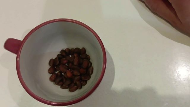 Как ПОЧИСТИТЬ кедровые орехи В ДОМАШНИХ УСЛОВИЯХ  Как РАСКОЛОТЬ кедровый орех