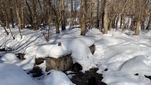 Релиз для рогатки. Субъективный обзор на релиз для рогатки.