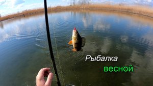 Рыбалка весной на щуку. Ловля щуки на водоемах Волго-Ахтубинской поймы