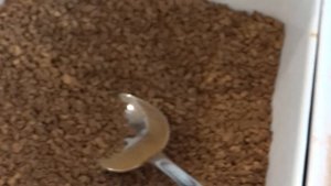 Тунис Сусс отель Concorde Green Park Palace 5* -  завтрак