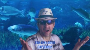 Мистер Дайкири "Мадина"