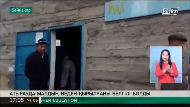 Киікті қырған кесел Атырау облысындағы түліктерге де жетті смотреть онлайн