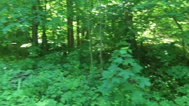 Тропа трёх оленей и одного Лёхи смотреть онлайн