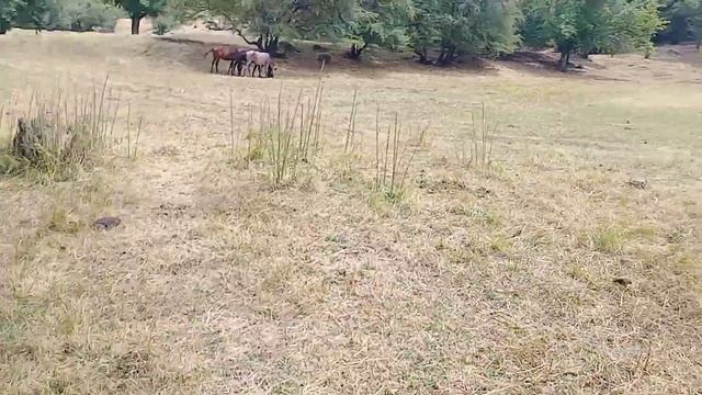 5 августа я на природе Майлуу-Суу смотреть онлайн