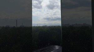 25.04.25. ... лесопарк в Москве