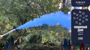 Гендерный дым мальчик